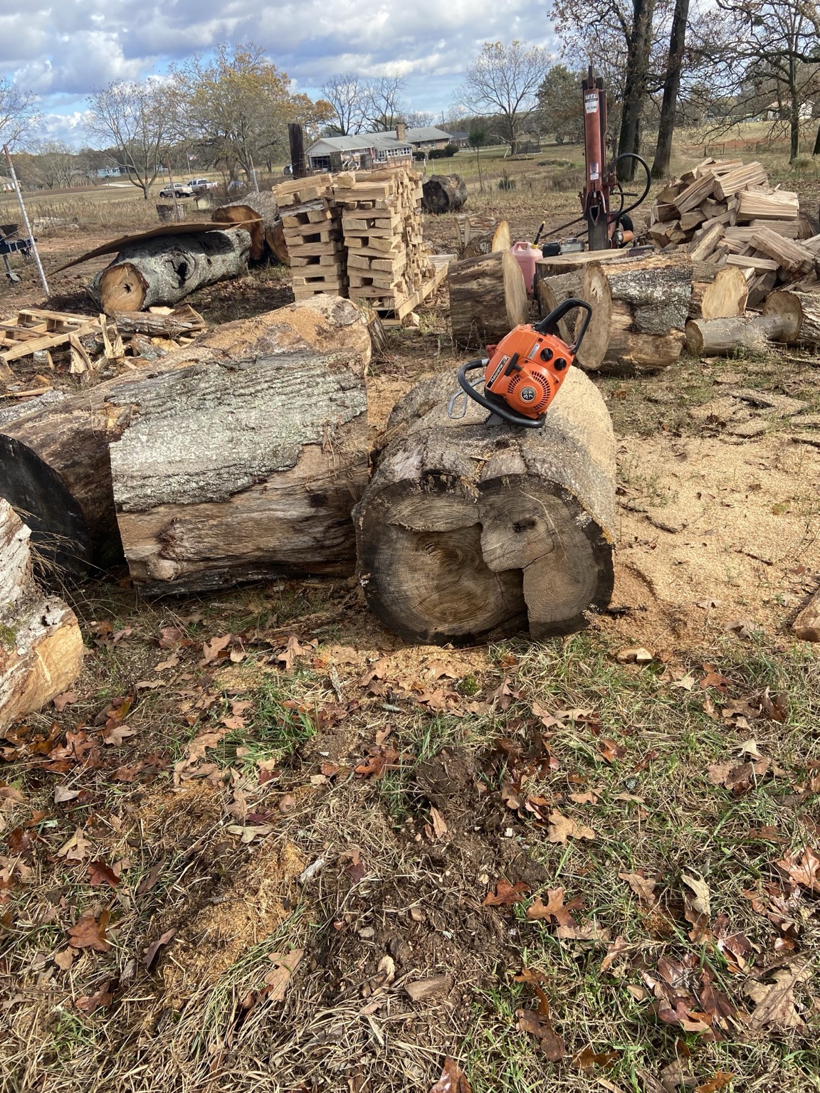 Early days of splitting firewood at Oak Hill Firewood